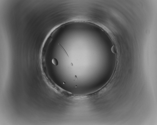 X0000115650864200911171441