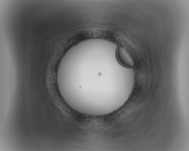 X0000115650865200911171440