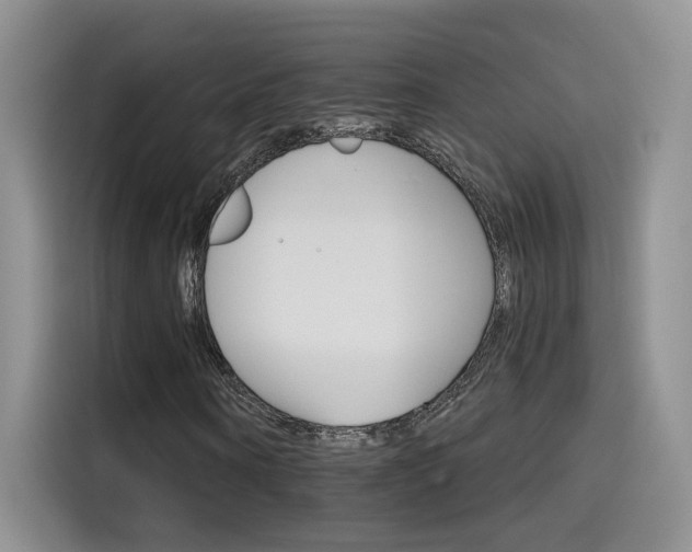 X0000115650866200911171440