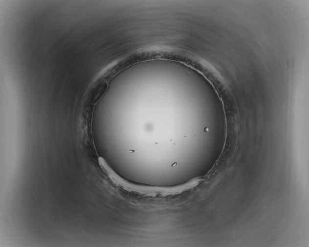 X0000115650872200911171440