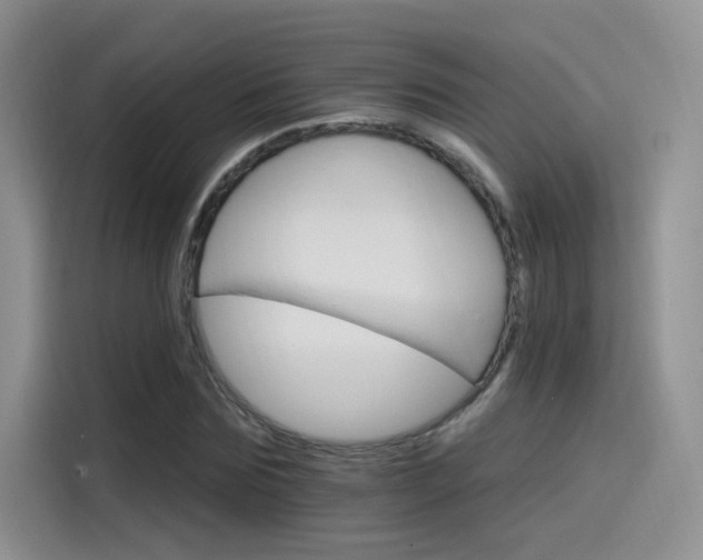 X0000115650875200911171440