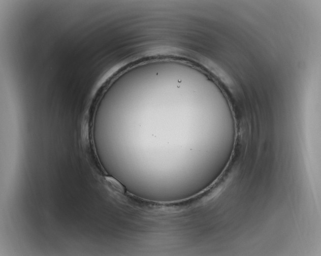 X0000115650877200911171440