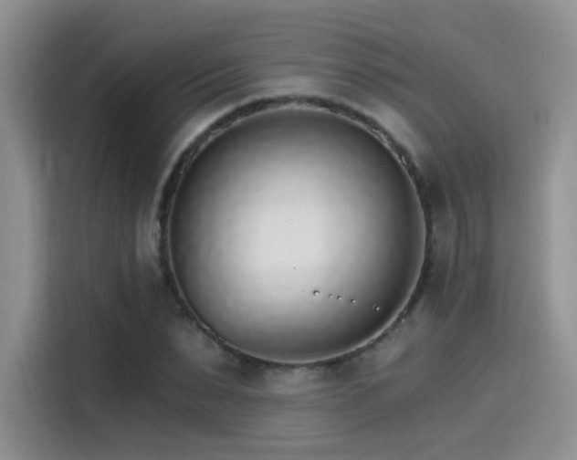 X0000115650879200911171440