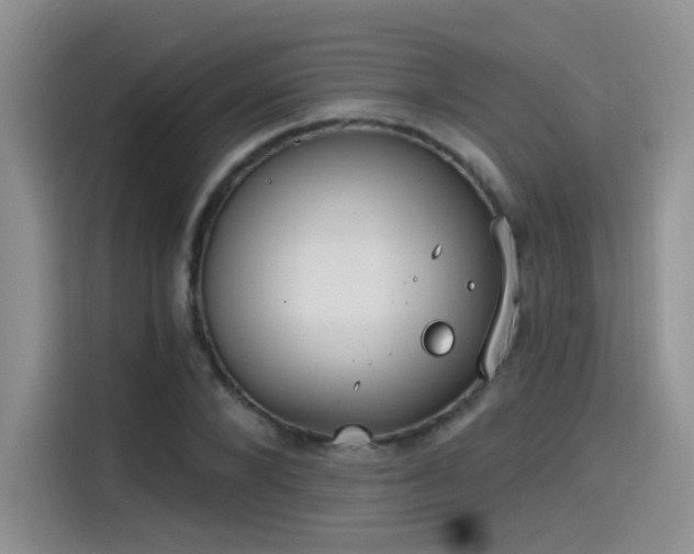 X0000115650880200911171440