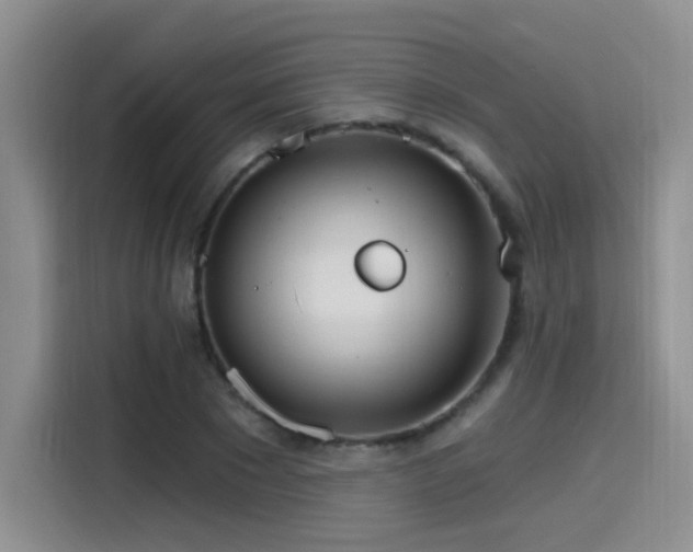 X0000115650881200911171440