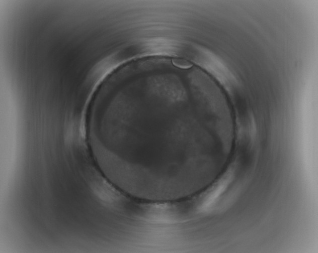 X0000115650883200911171440