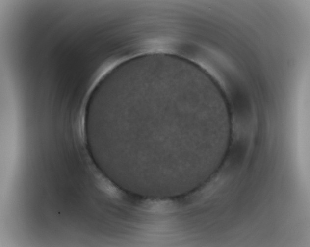 X0000115650886200911171440