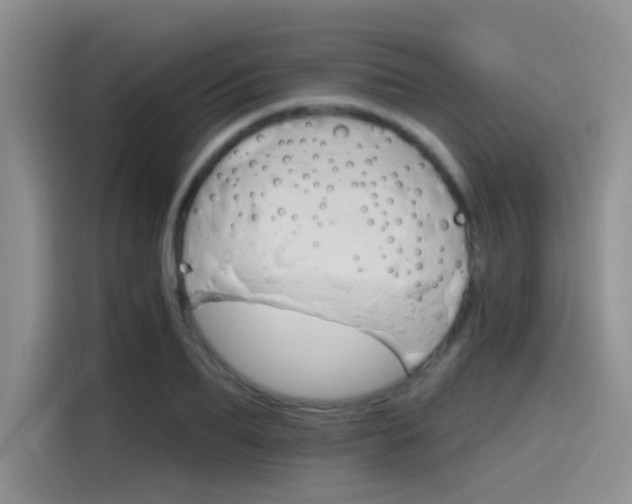 X0000115650887200911171440