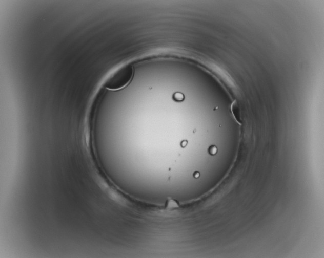 X0000115650888200911171440