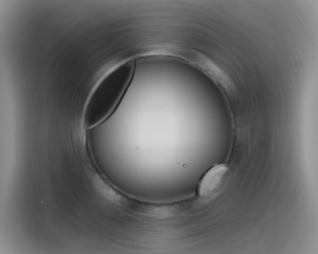 X0000115650892200911171440