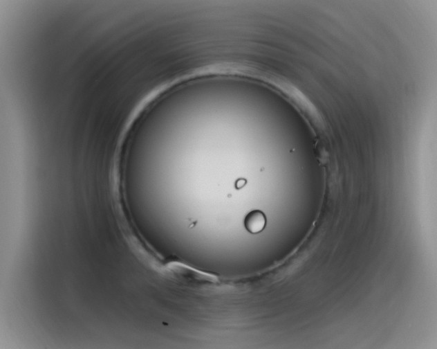 X0000115650896200911171440