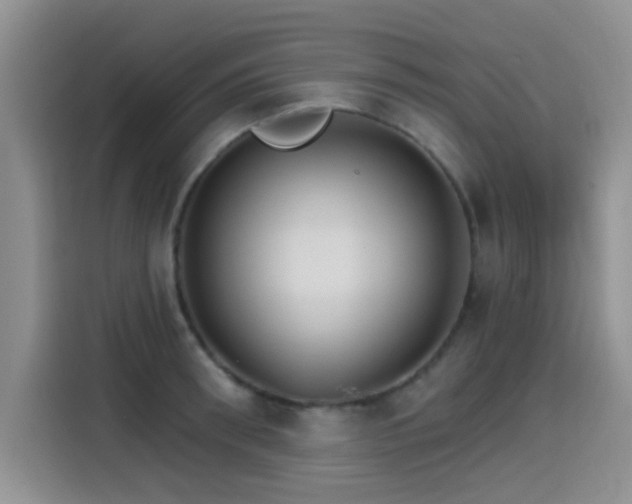 X0000115650898200911171440