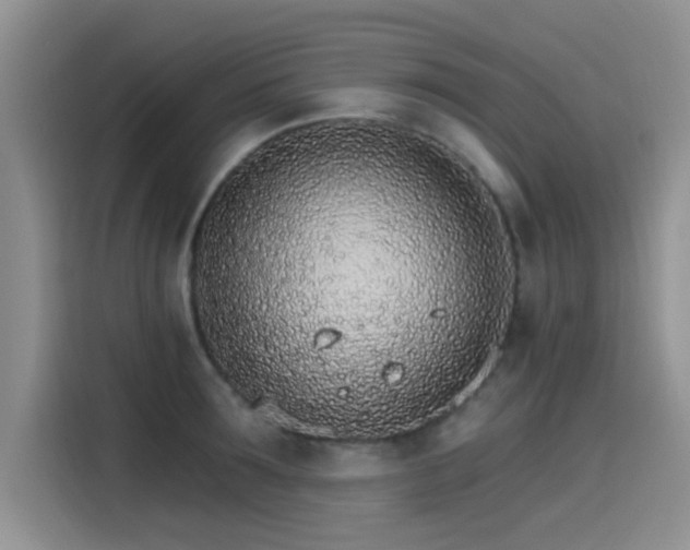 X0000115650899200911171440