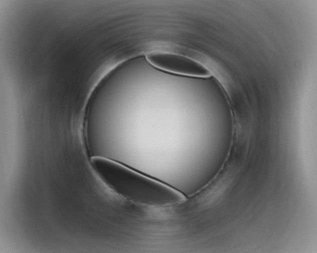 X0000115650901200911171440