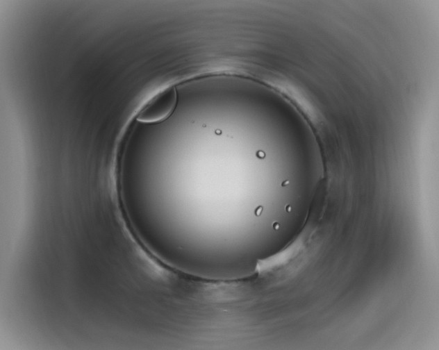 X0000115650902200911171440