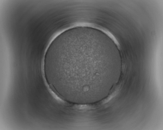 X0000115650903200911171440