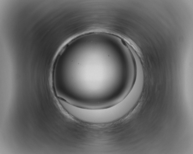 X0000115650904200911171440