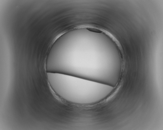 X0000115650905200911171440