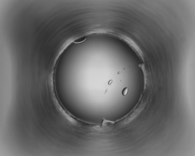 X0000115650906200911171440