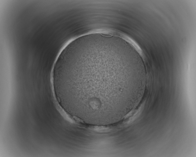 X0000115650907200911171440