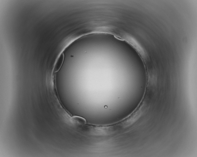 X0000115650908200911171440