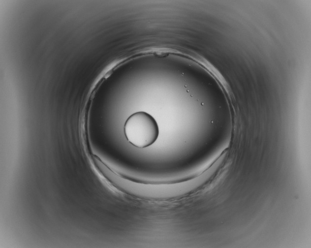 X0000115650909200911171440