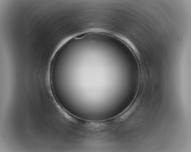 X0000115650910200911171440