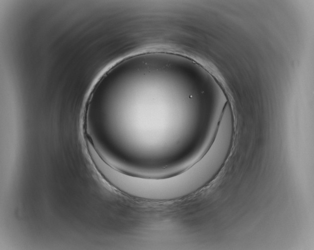 X0000115650912200911171440