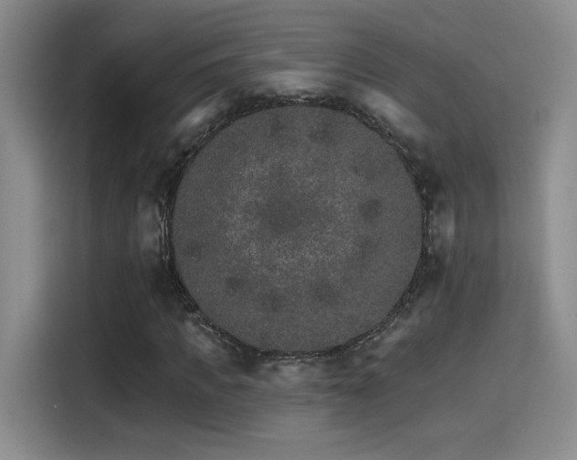 X0000115650917200911171439