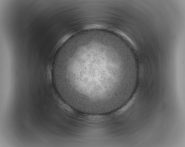 X0000115650921200911171439