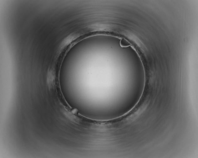 X0000115650922200911171439