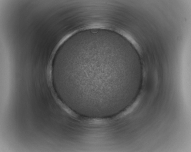 X0000115650933200911171439