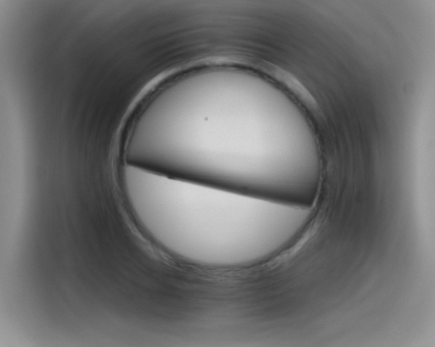 X0000115650934200911171439