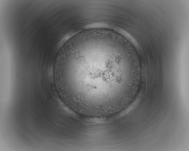 X0000115650937200911171439