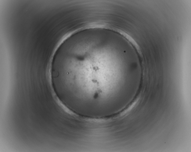 X0000115650941200911171440