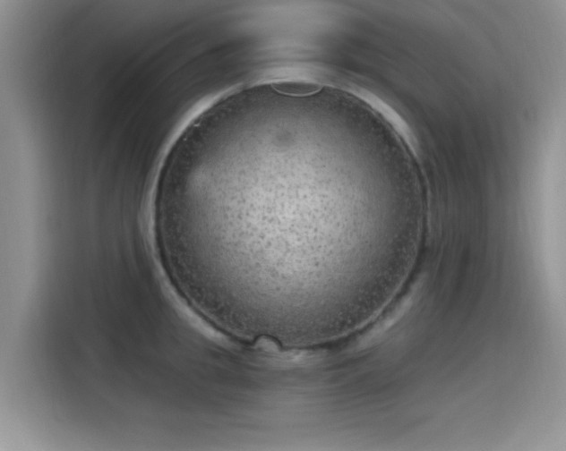 X0000115650949200911171440