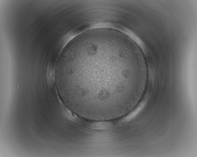 X0000115650953200911171440