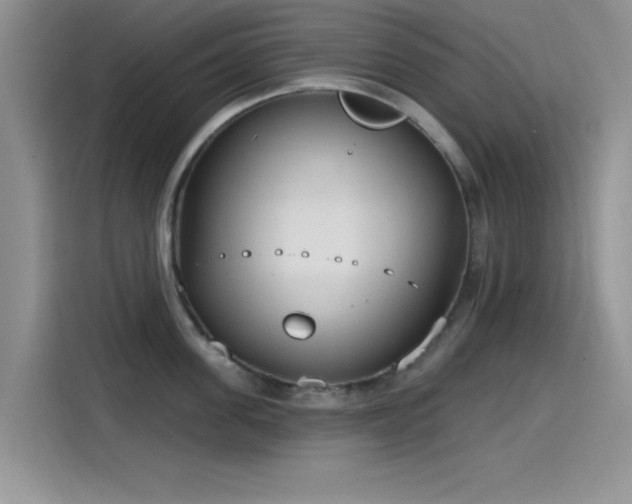 X0000115650955200911171440