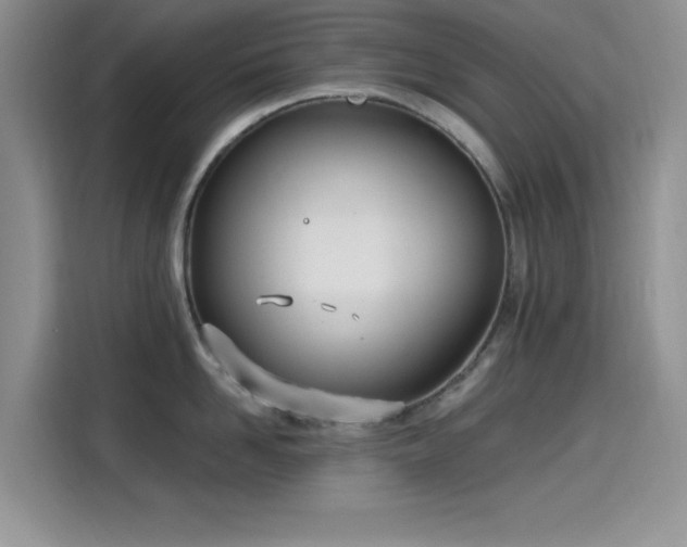 X0000115650958200911171440