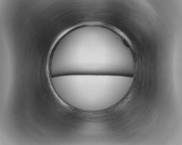 X0000115650959200911171440