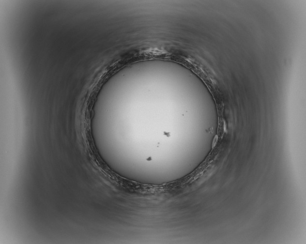 X0000115650961200911171439