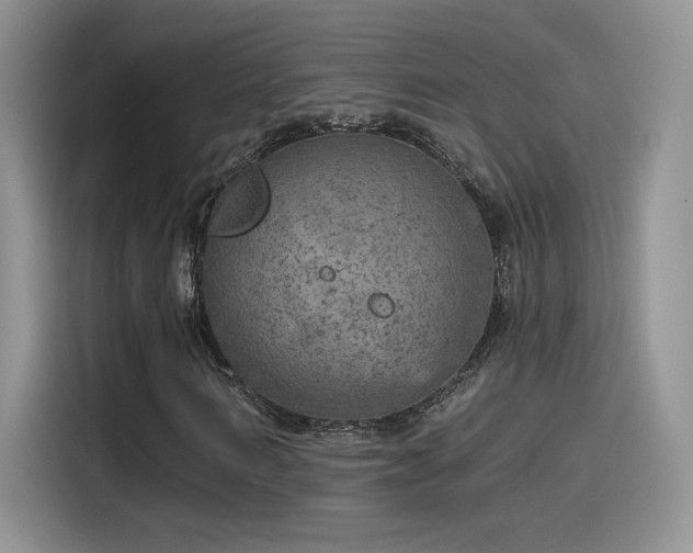 X0000115650962200911171439