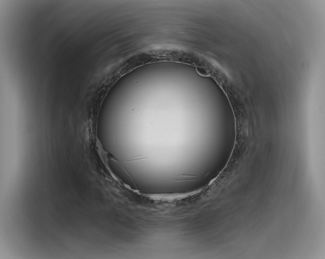 X0000115650965200911171439