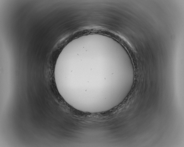 X0000115650967200911171439