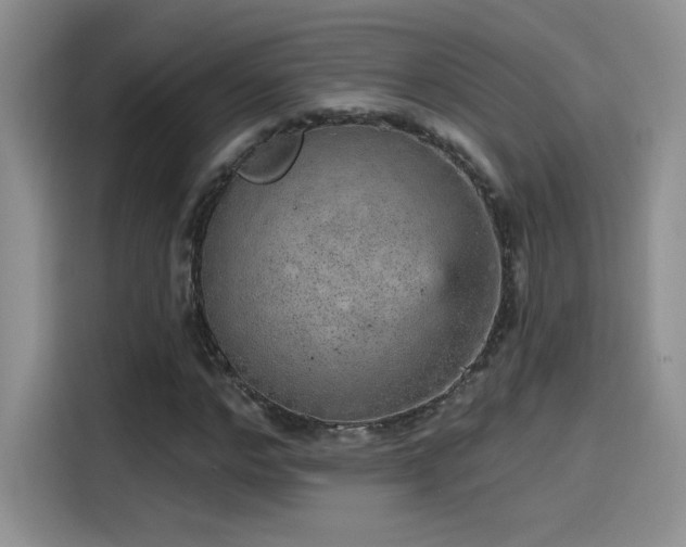 X0000115650968200911171439