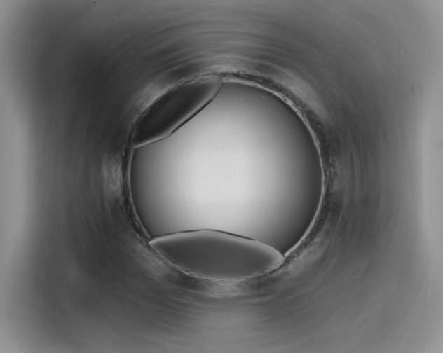 X0000115650969200911171439