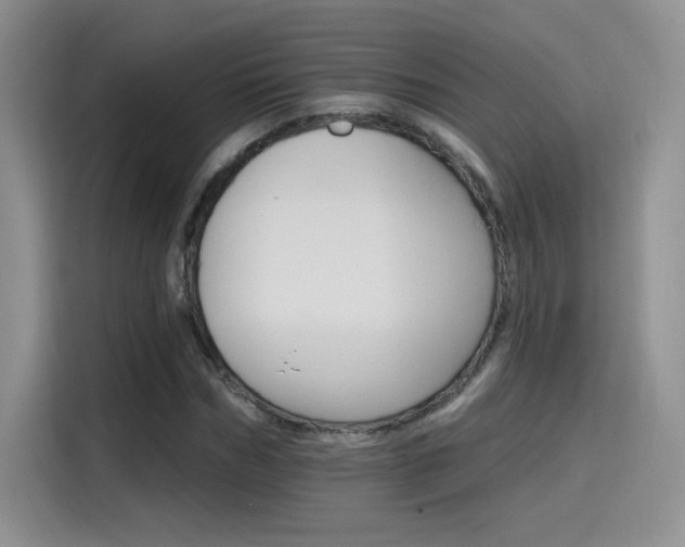 X0000115650970200911171439