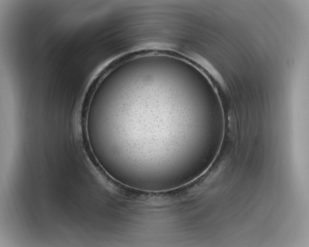 X0000115650972200911171439