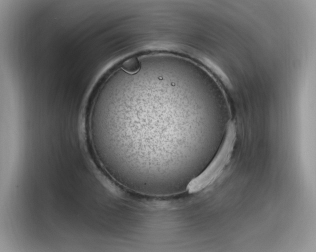 X0000115650976200911171439