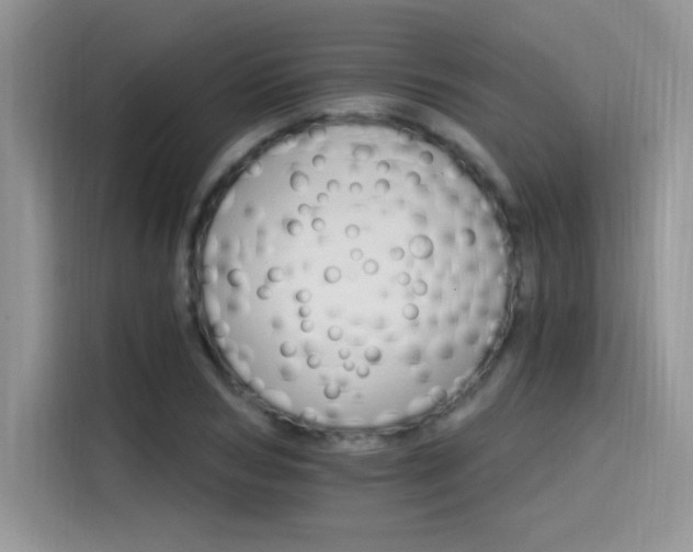 X0000115650978200911171439